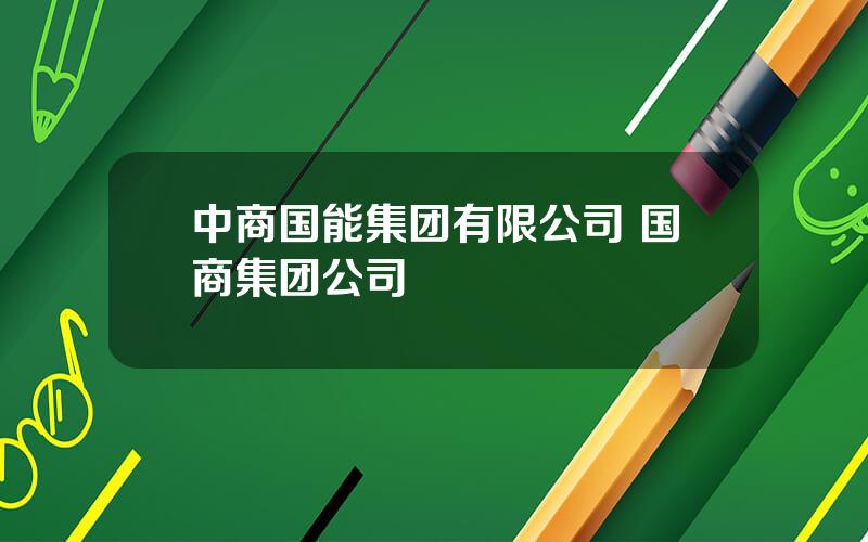 中商国能集团有限公司 国商集团公司